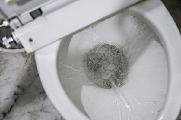Sanitary Clean Toilet Flushing in Residential Home in Wheeling, IL